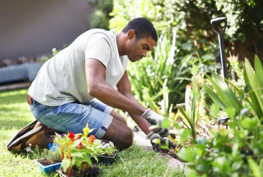 gardener