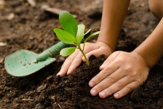 gardening