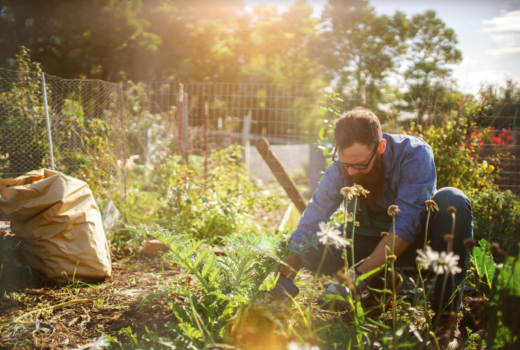 gardening