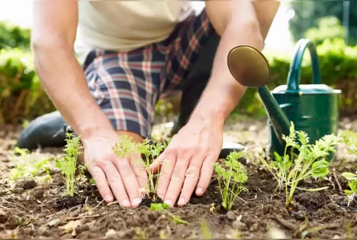 gardening